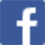 fb-icon